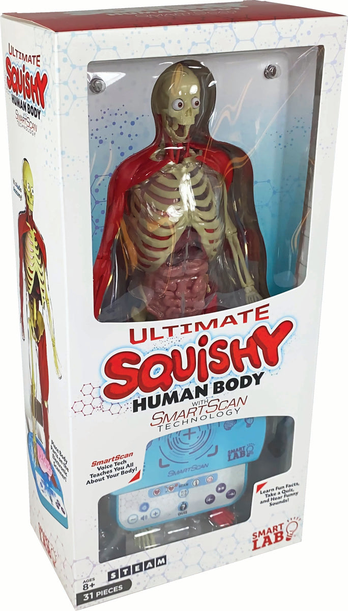 Ultimate Squishy Human Body Lab Science Kit – The Science