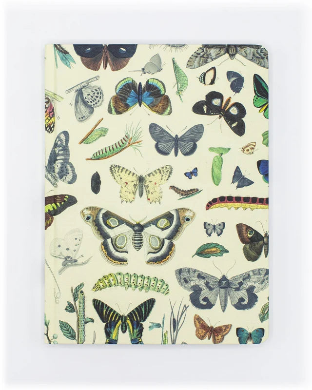 Butterflies Hardcover Notebook
