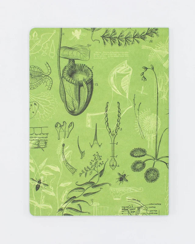 Carnivorous Plants Hardcover Notebook