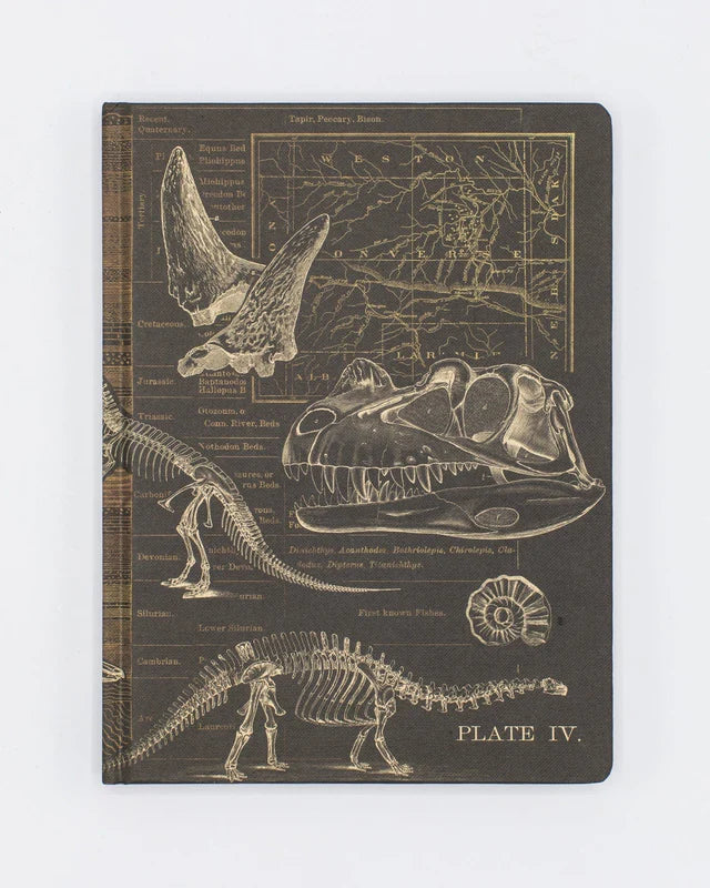 Brown Dinosaur Bones Paleontology Hardcover Notebook