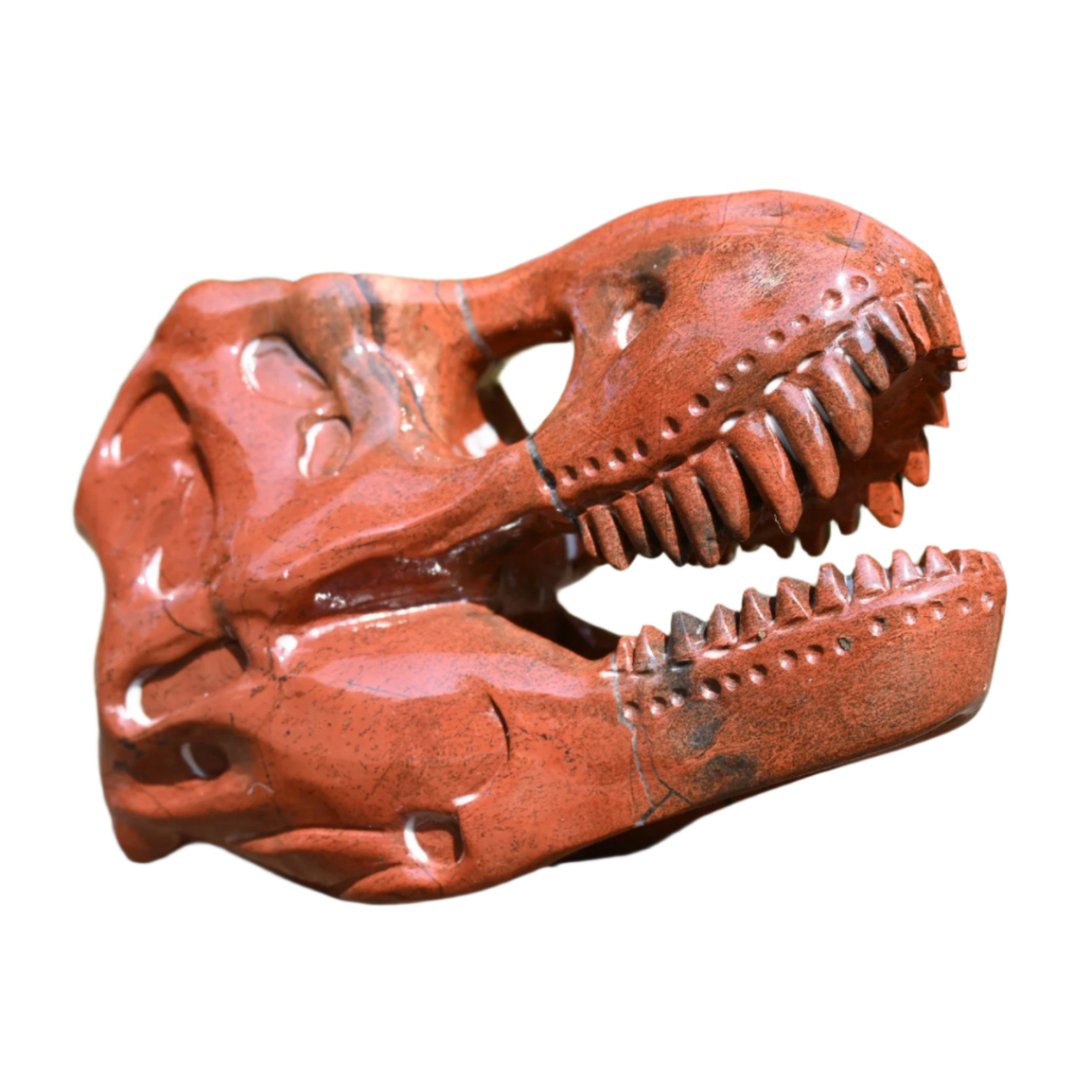 Large Gemstone T-Rex Skull – The Science Museum of Minnesota