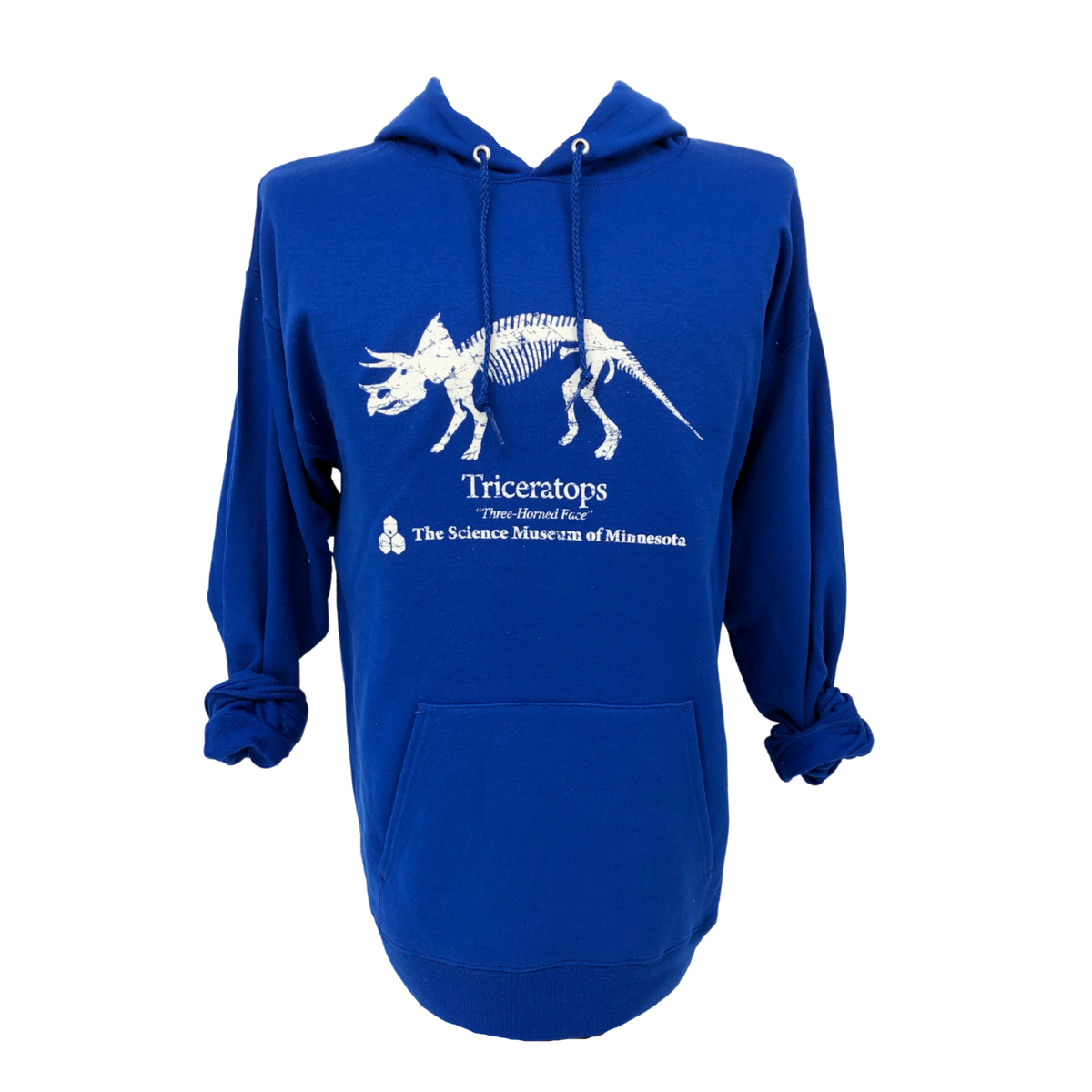 Stranger things dinosaur hoodie hot sale