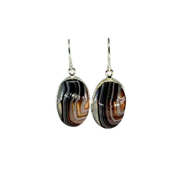 Crazy Lace Agate Earrings