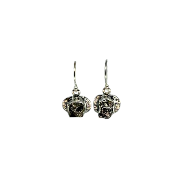 Meteorite Earrings