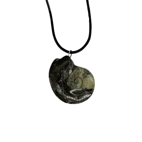 Goniatite Necklace