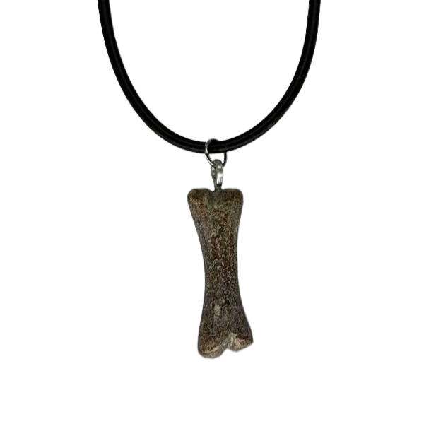 Dinosaur Bone Necklace