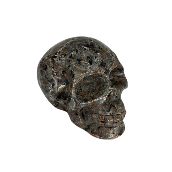 Yooperlite Skull $69.99