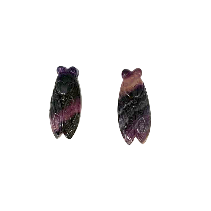 Fluorite Cicada