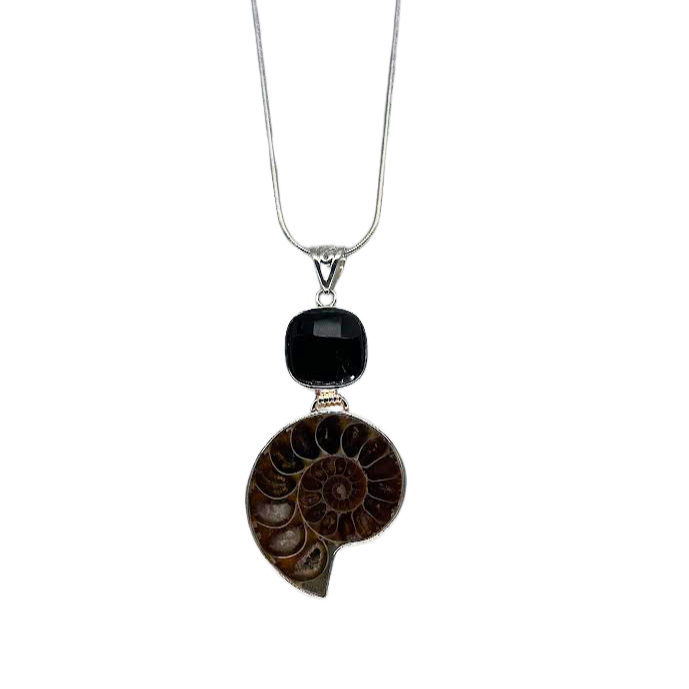 Ammonite and Black Onyx Necklace