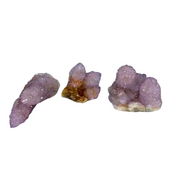 Cactus Amethyst $29.99