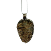 Trilobite Necklace