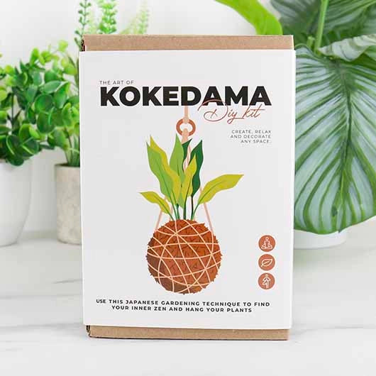 The Art of Kokedama Kit