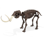 Mammuthus Skeleton Excavation Kit