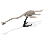 Elasmosaurus Skeleton Excavation Kit