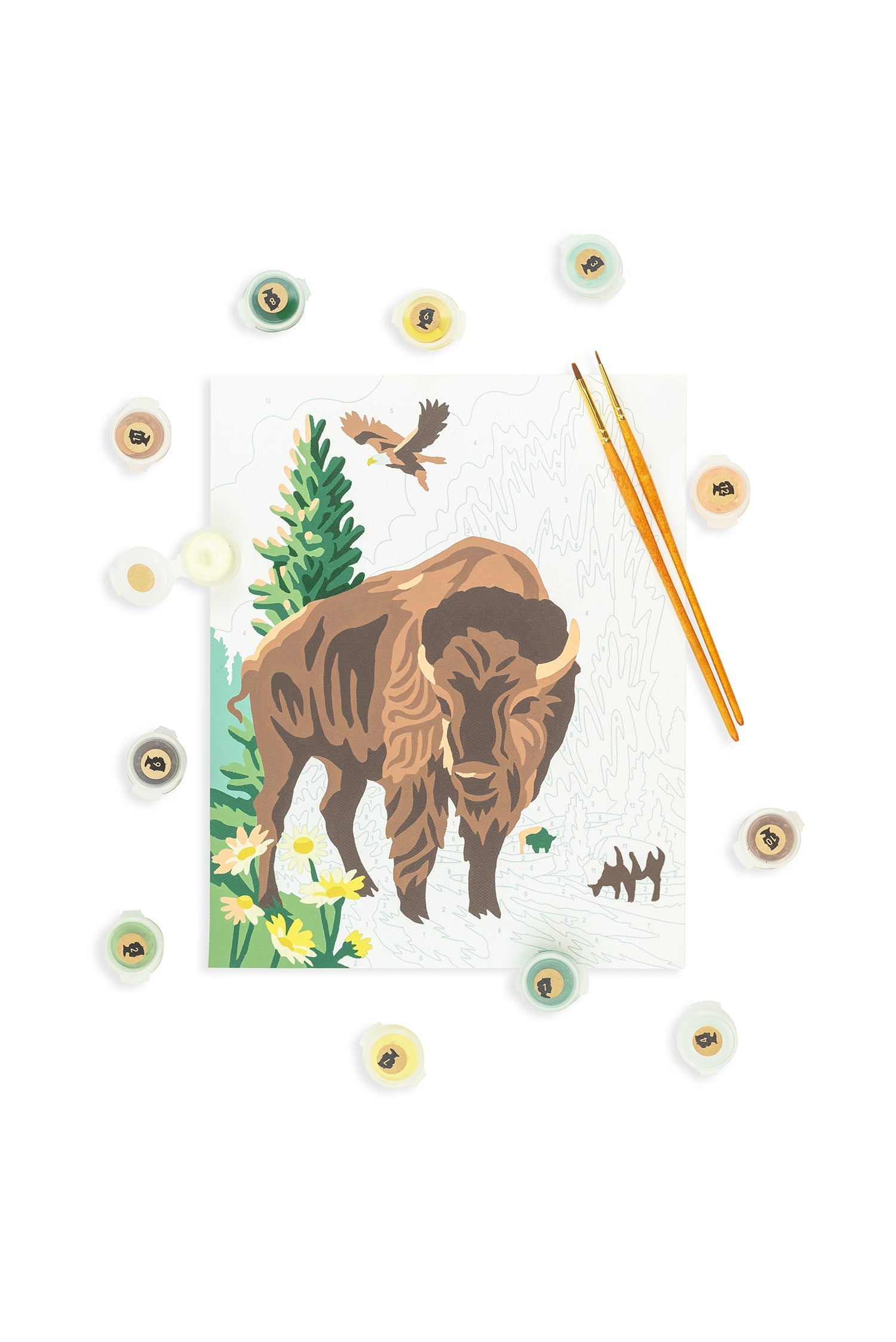 Yellowstone National Park Paint-By-Number Kit