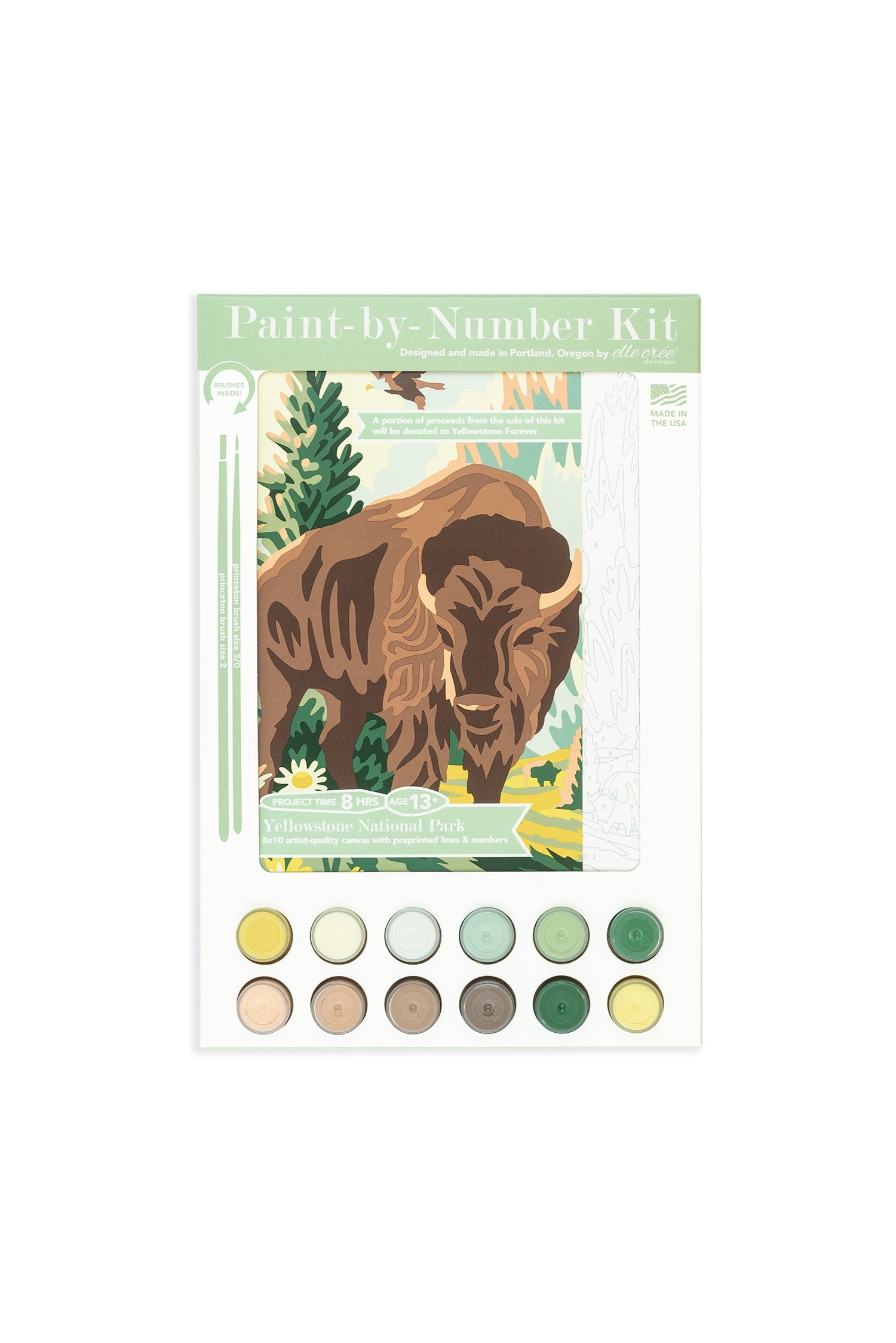 Yellowstone National Park Paint-By-Number Kit