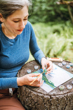 Denali National Park Paint-By-Number Kit