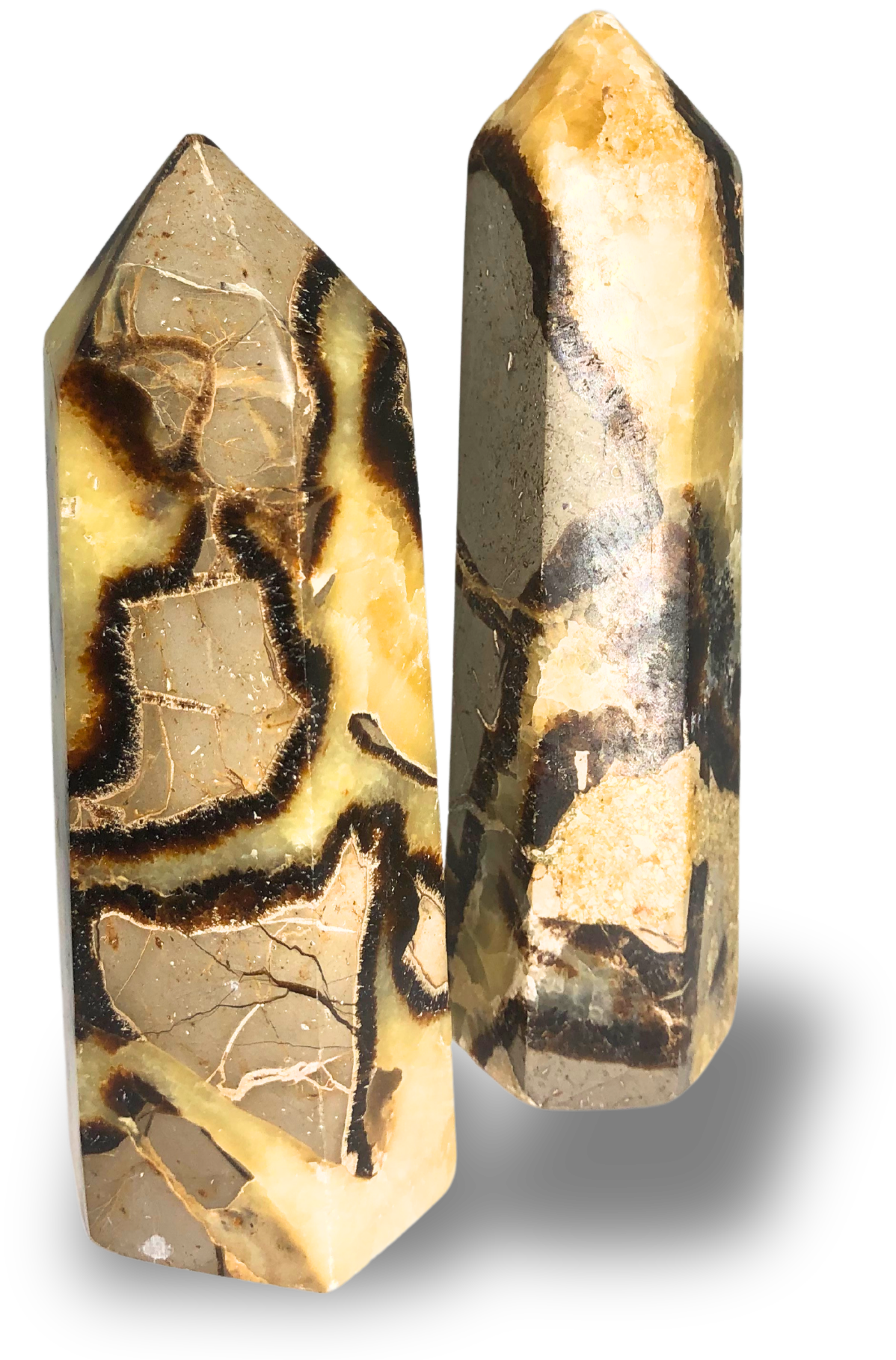 Septarian Point $30.00