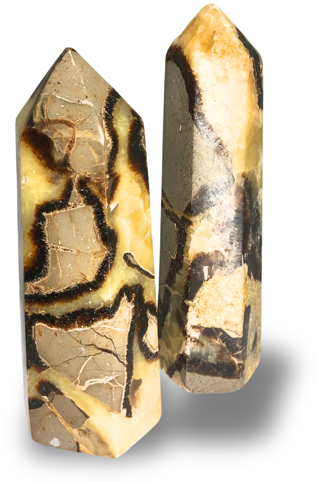 Septarian Point $30.00