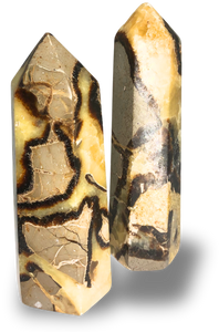 Septarian Point $30.00