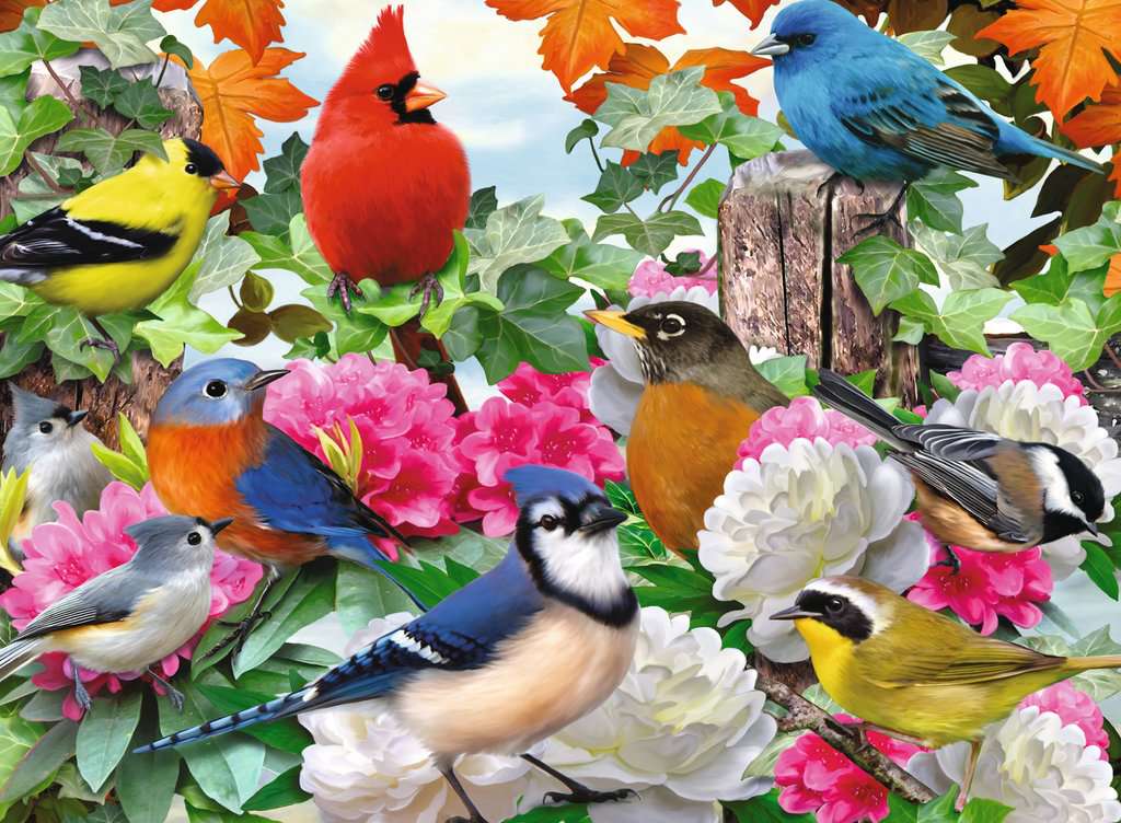 Garden Birds 500 Piece Puzzle