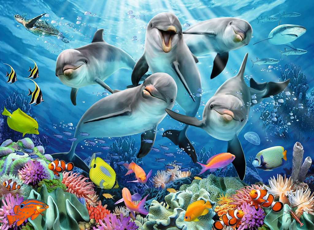 Dolphins in the Coral Reef 500 Piece Puzzle