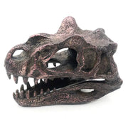 Ceratosaurus Mini Skull Replica
