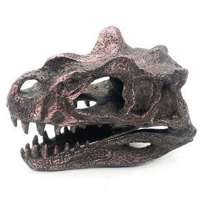 Ceratosauras Mini Skull Replica