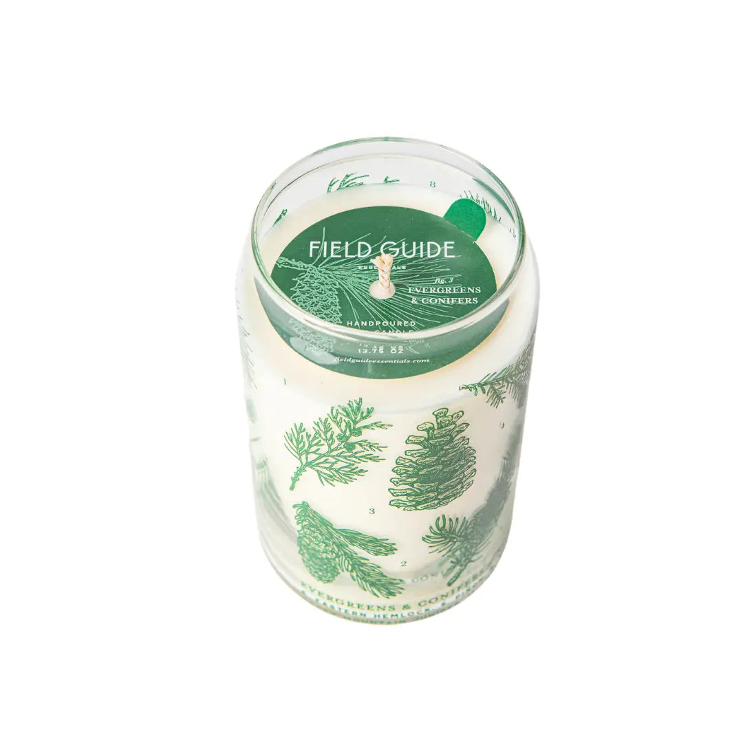 Evergreens & Conifers Field Guide Soy Candle