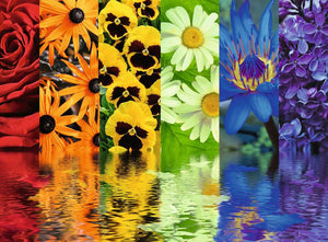 Floral Reflections 500 Piece Puzzle