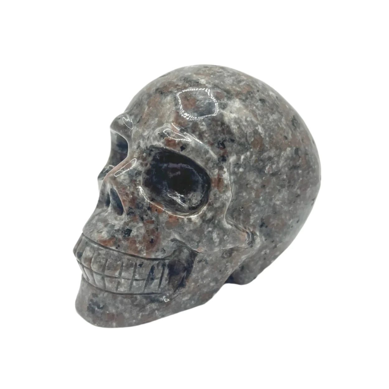 Yooperlite Skull $20.00