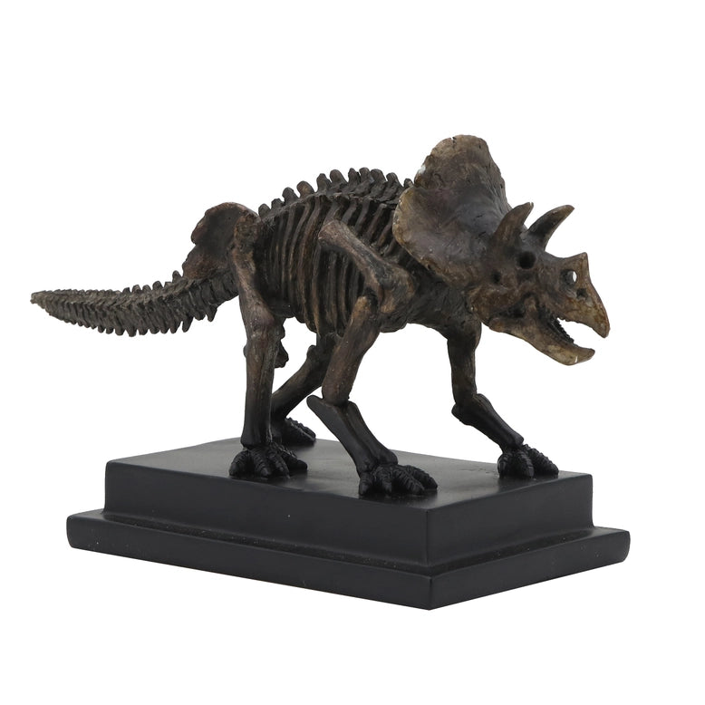 Triceratops Dinosaur Fossil Replica on Base