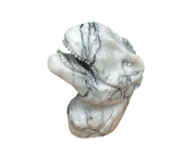 Picasso Jasper T-rex Head $200.00