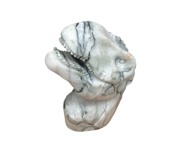 Picasso Jasper T-rex Head $200.00