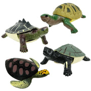 Turtle Squishimals