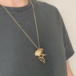 Triceratops Necklace with Display Stand