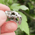 Sabertoothed Cat Necklace with Display Stand