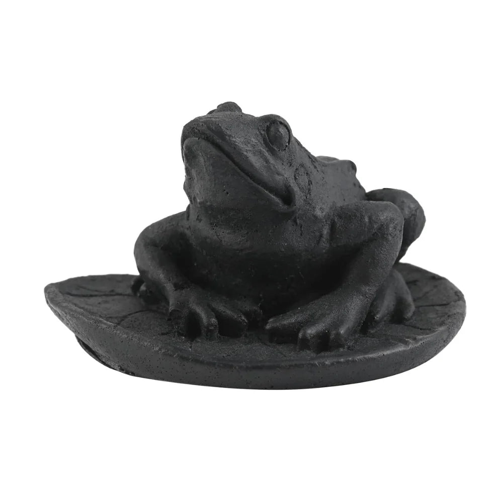 Shungite Frog