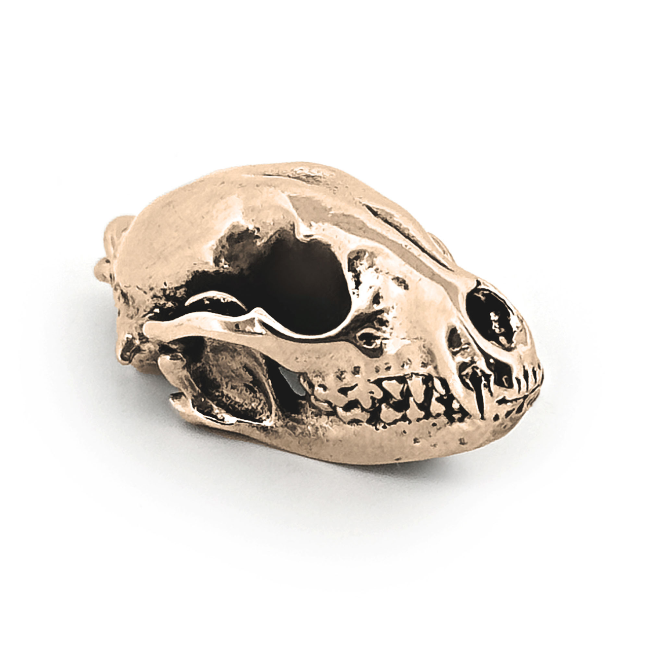 Raccoon Skull Necklace