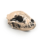 Raccoon Skull Necklace