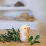 Deciduous Trees Field Guide Soy Candle