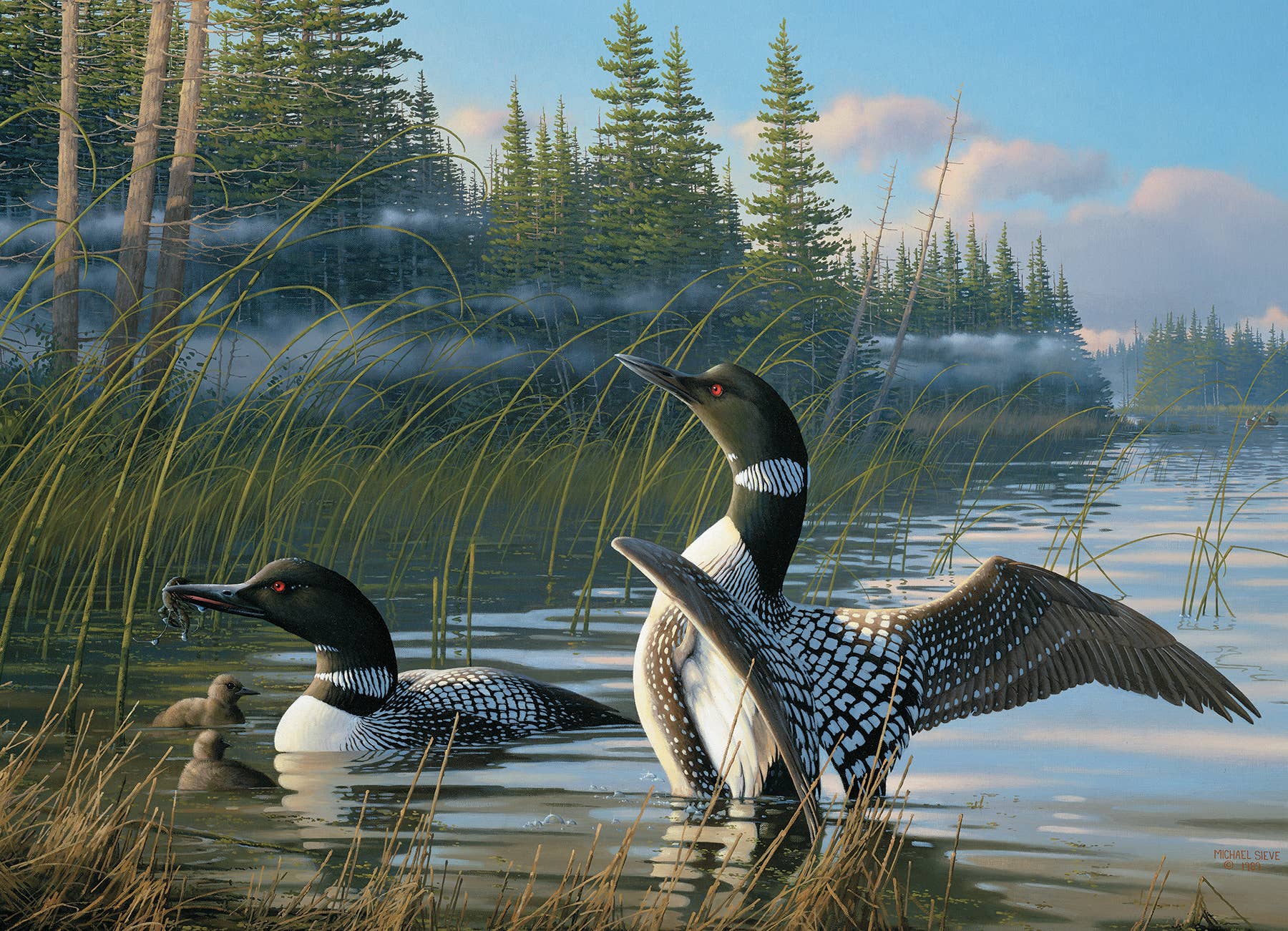 Common Loons 1000 Piece Puzzle