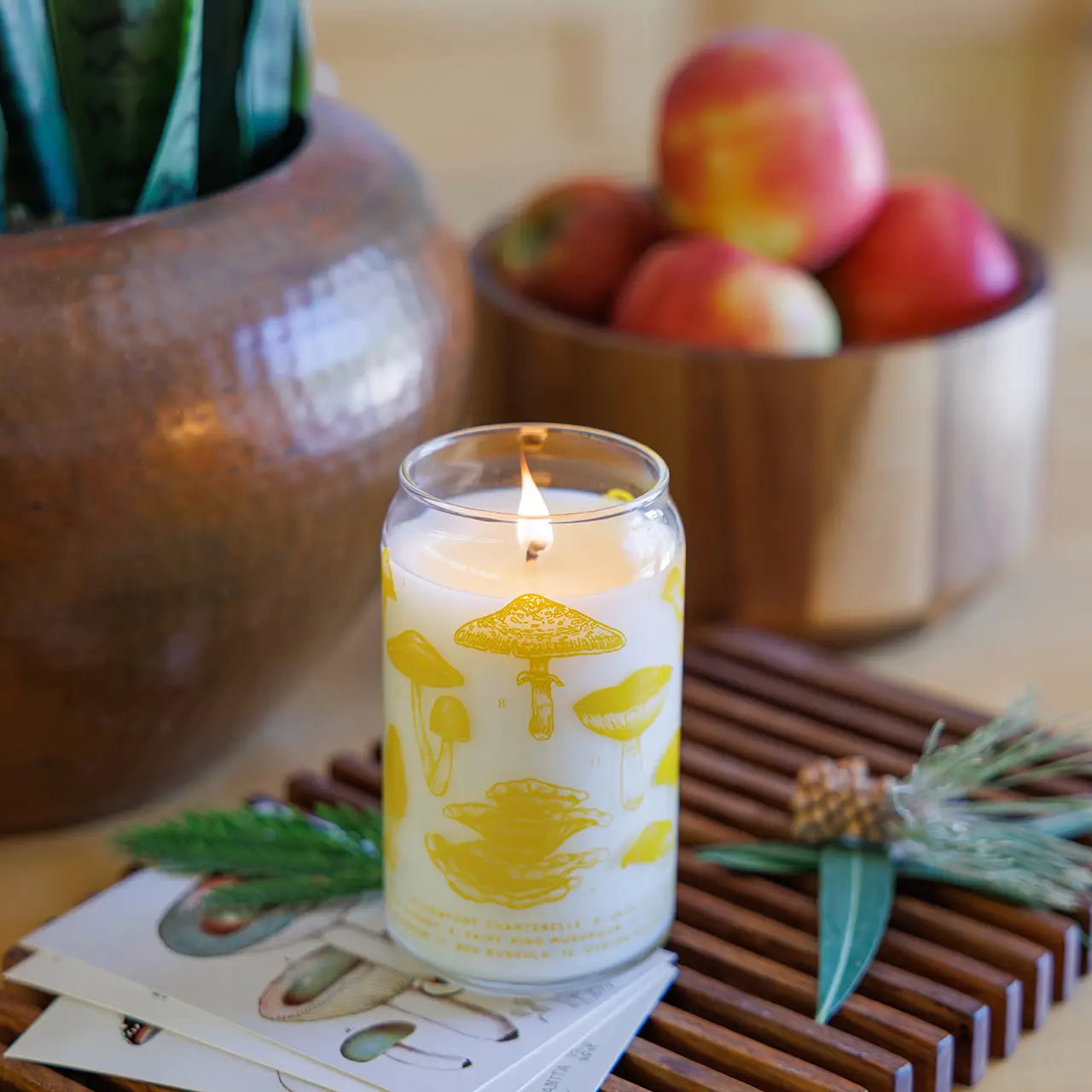 Mushrooms Field Guide Soy Candle