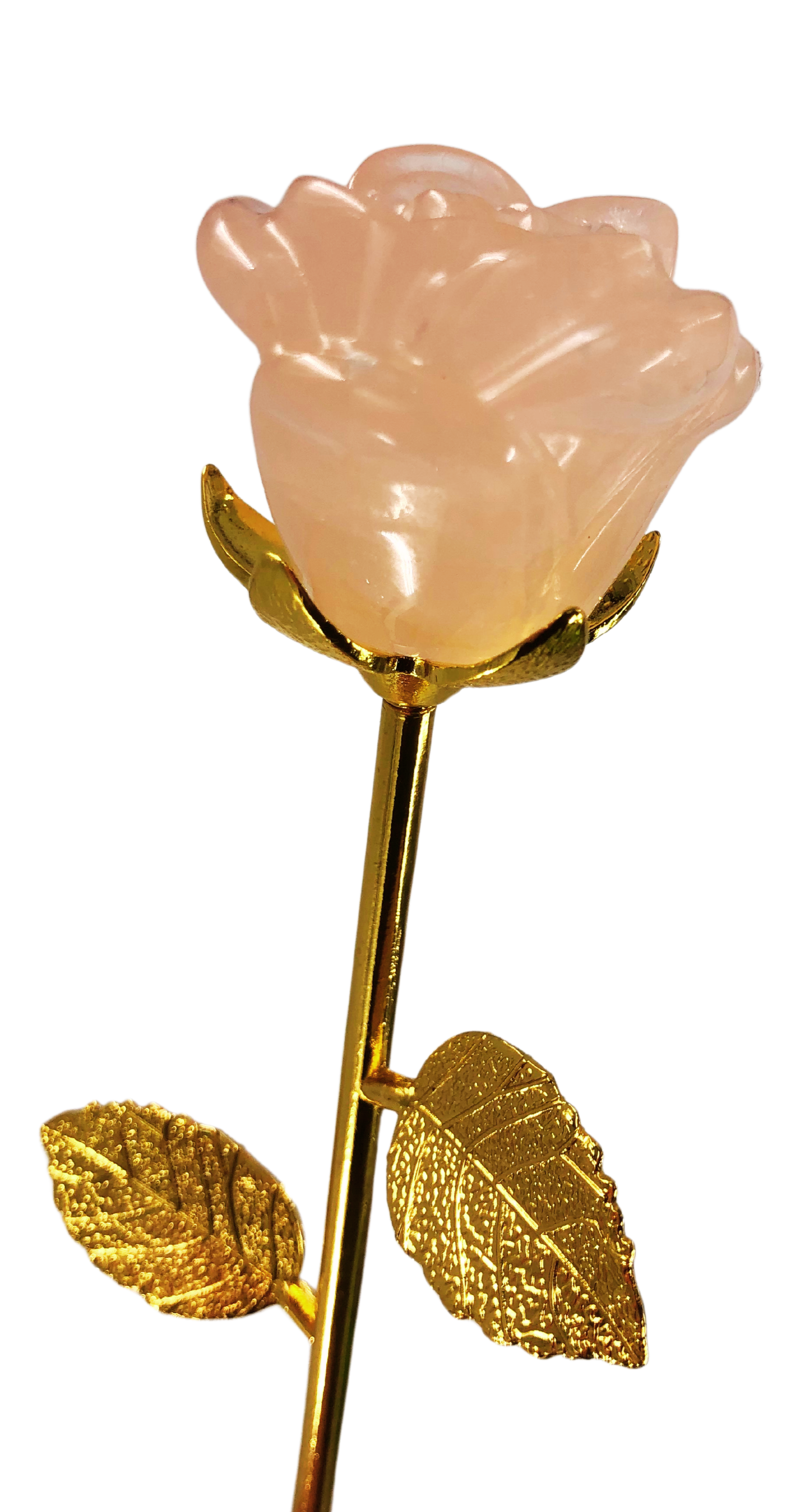 Crystal Rose – The Science Museum of Minnesota