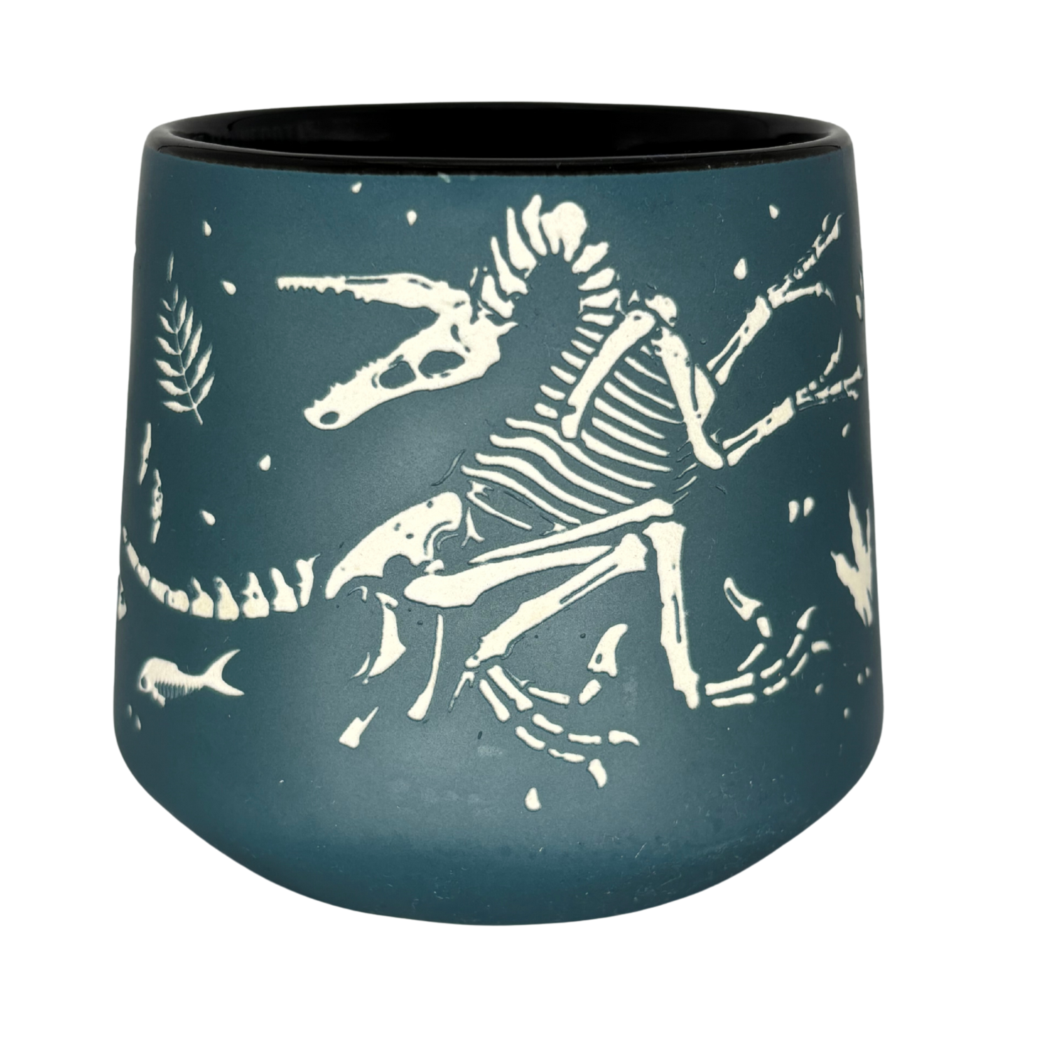 Science Museum of Minnesota Etched Fossil Mug