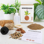The Art of Kokedama Kit