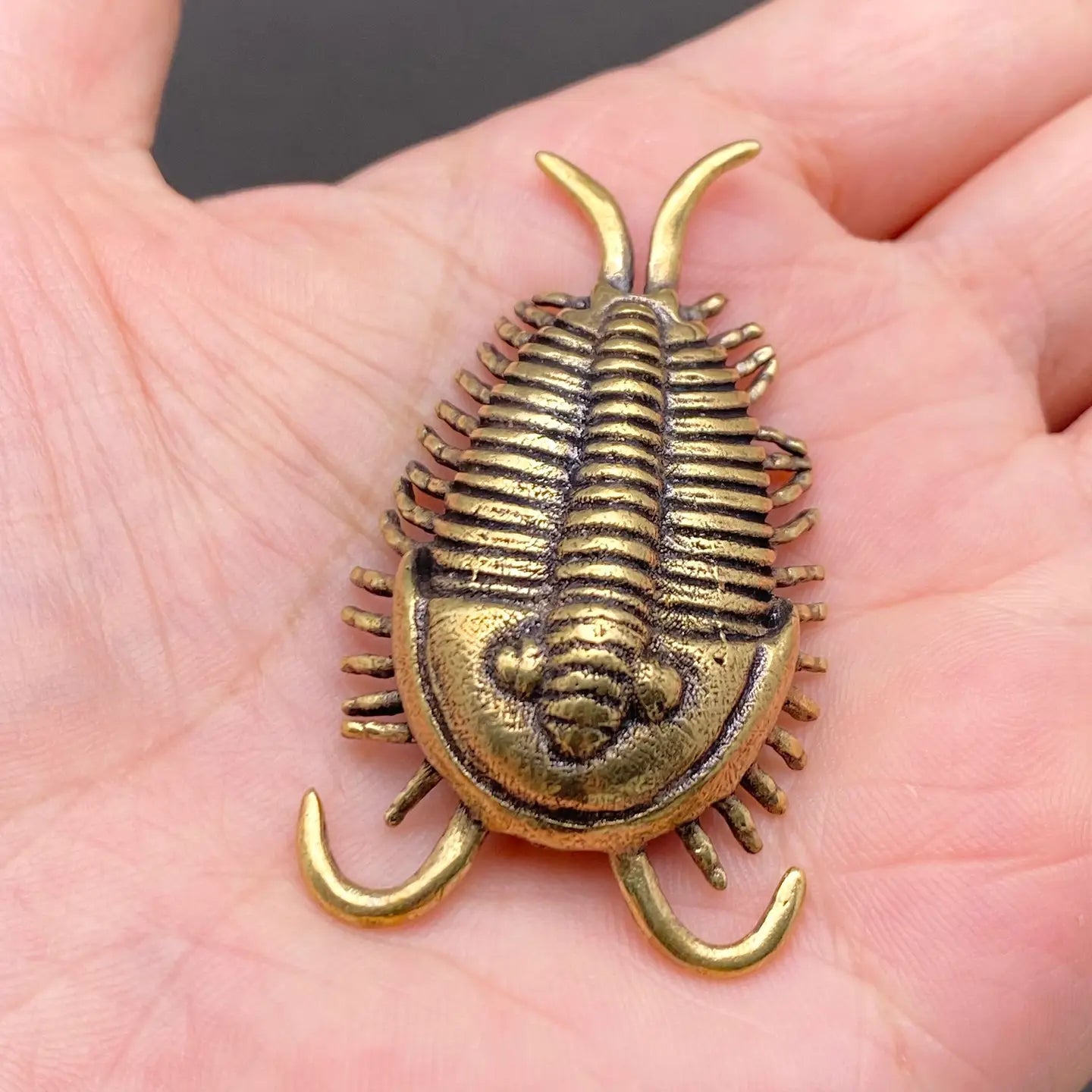 Brass Trilobite Figurine