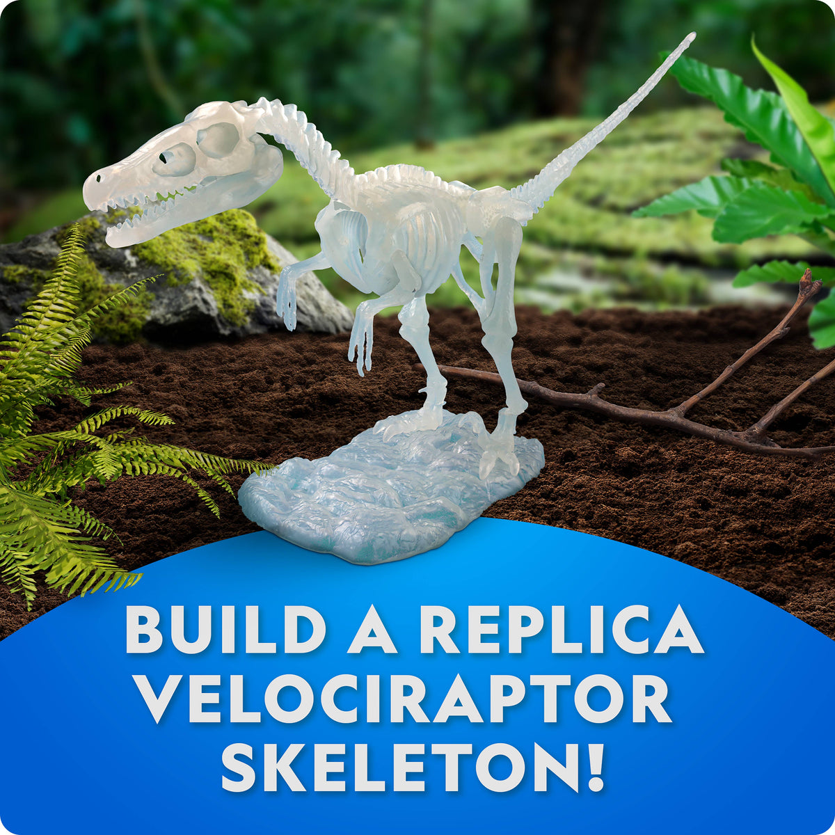 Glow-in-the-Dark Velociraptor Skeleton Kit