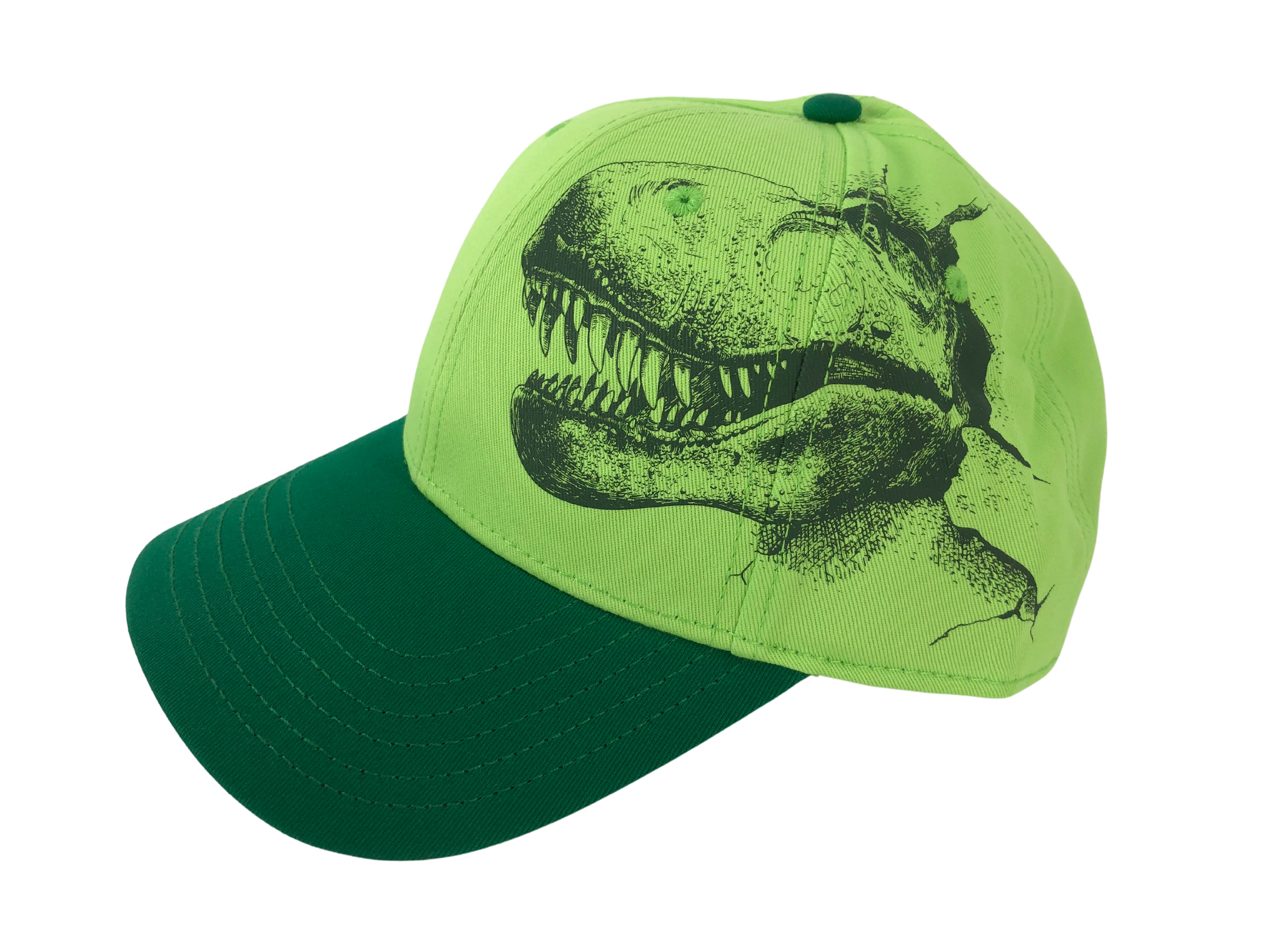 Science Museum Of Minnesota Dinosaur Hat