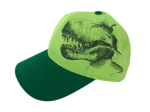 Science Museum Of Minnesota Dinosaur Hat